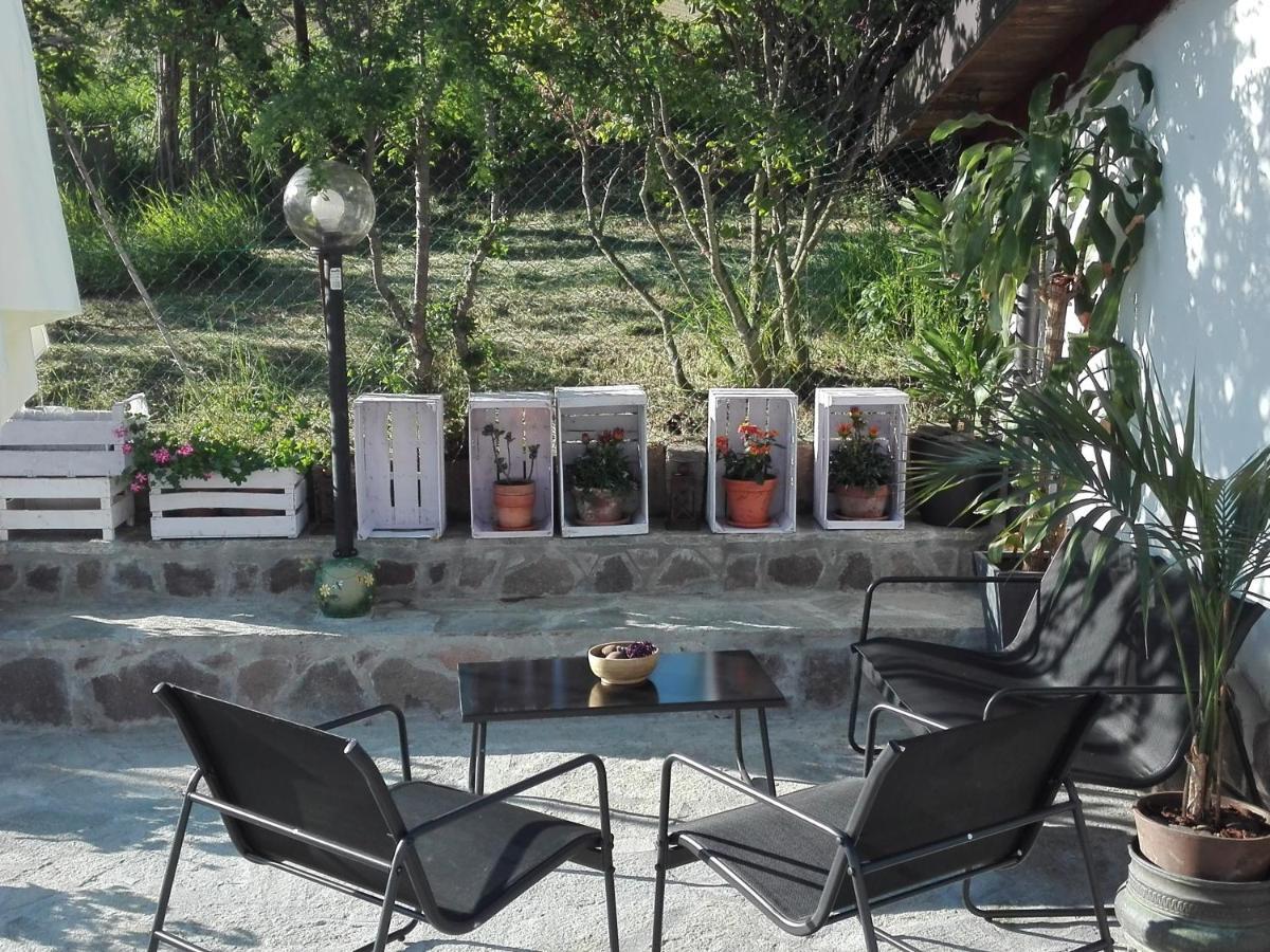 La Casa Nel Sole Lejlighed Alessandria Eksteriør billede