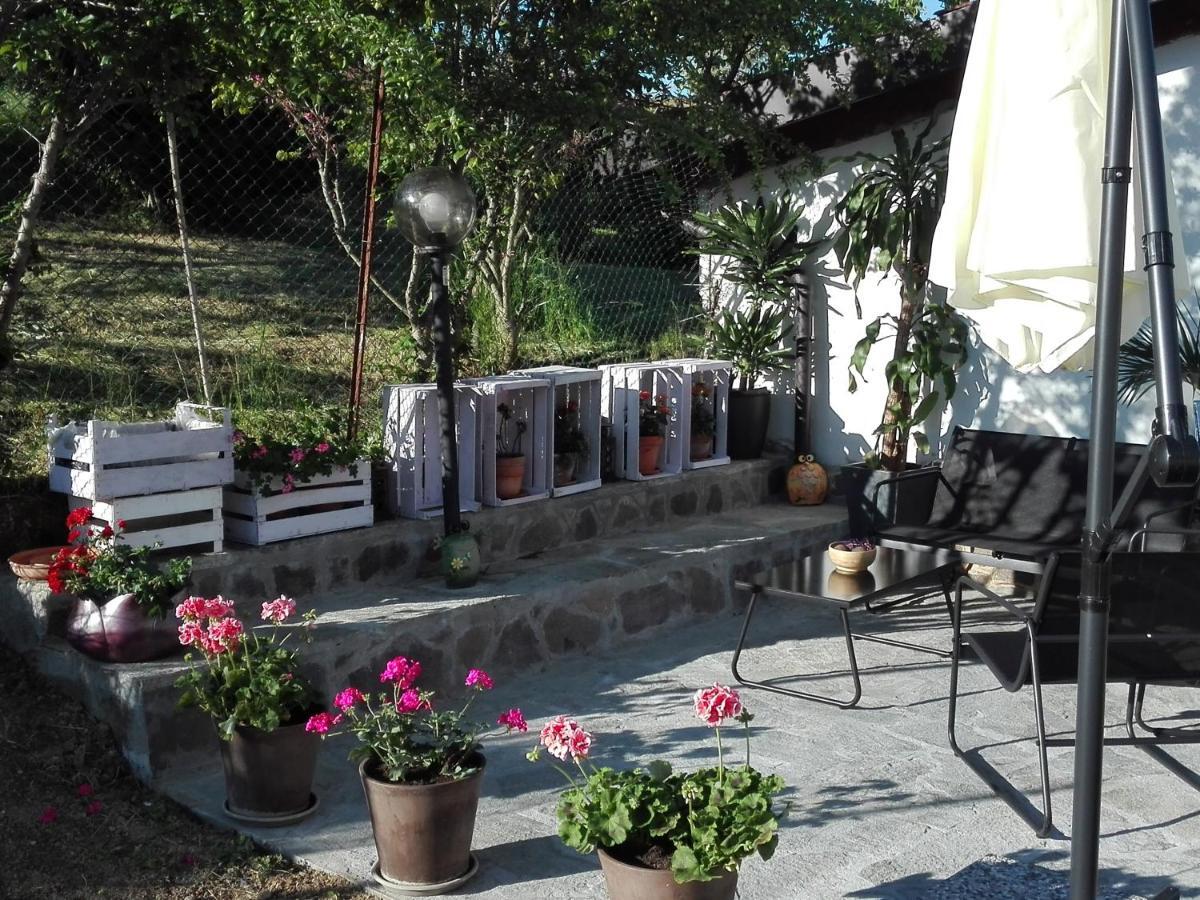 La Casa Nel Sole Lejlighed Alessandria Eksteriør billede