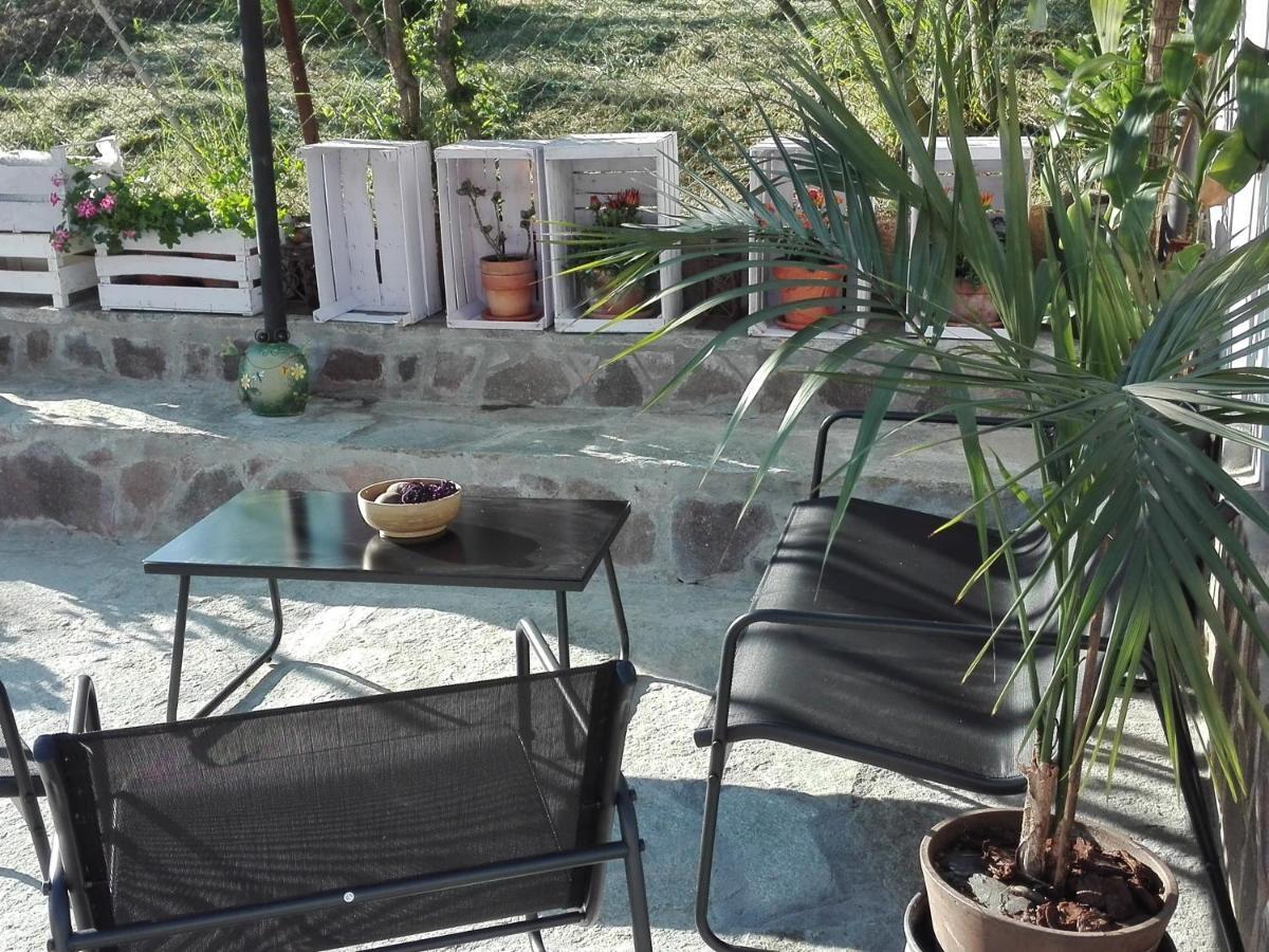 La Casa Nel Sole Lejlighed Alessandria Eksteriør billede